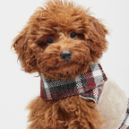 Dog coat Leaf Tartan B&amp;B x Aristopet