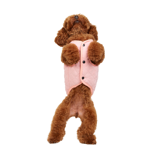 Chaleco Foxy Rosa