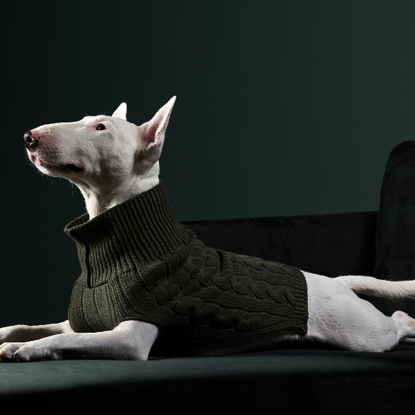Jersey Aspen Negro