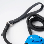 Correa para perro Azul-FIXY
