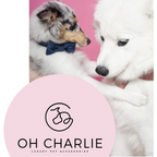Oh Charlie Glam Blue Bow Tie Collar