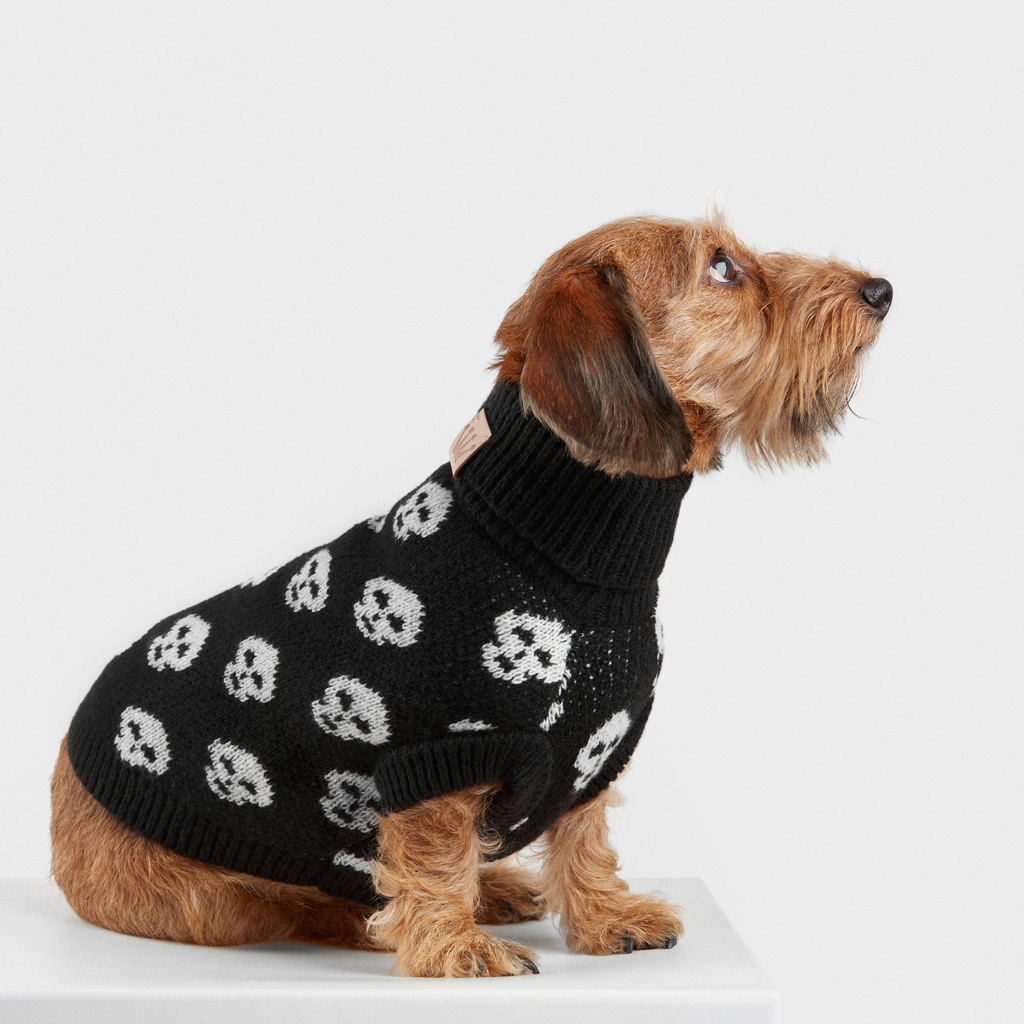 JERSEY DARKIE WOOF