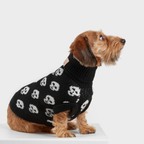 JERSEY DARKIE WOOF