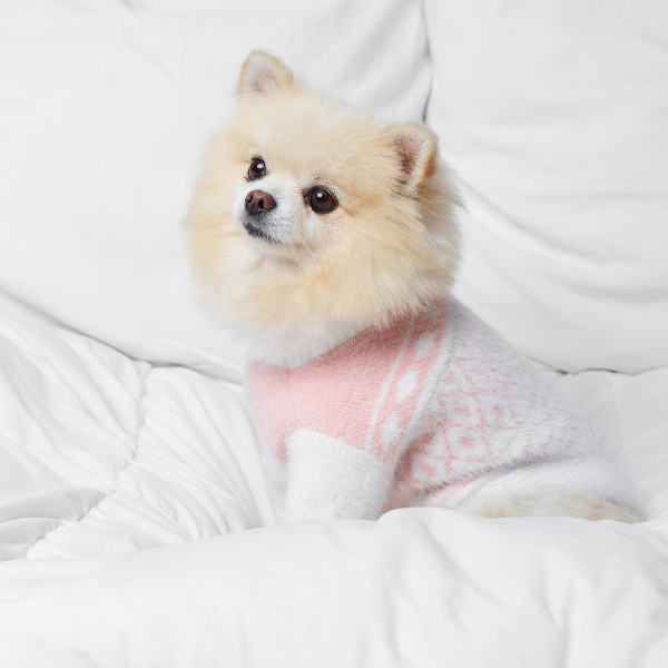 Aristopet pink puppy sweater