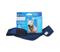 Pet bandana Pacific Blue Aqua Cool Keeper