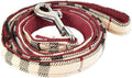 Dean Lead Correa para Perros Puppia