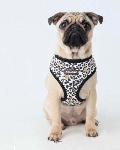 Arnés para Perro Leo Pug Pinkaholic