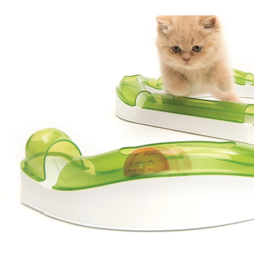 Super Circuit Senses 2.0 CatIT