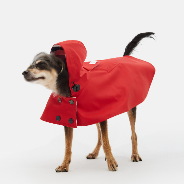 Capa Impermeable William THE PAINTER WIFE X ARISTOPET