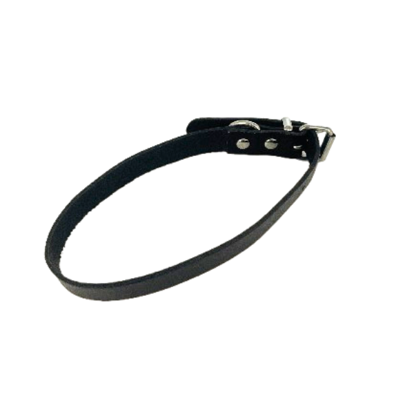 Collar Nu Nickele Bobby