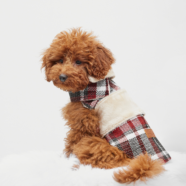 Dog coat Leaf Tartan B&amp;B x Aristopet