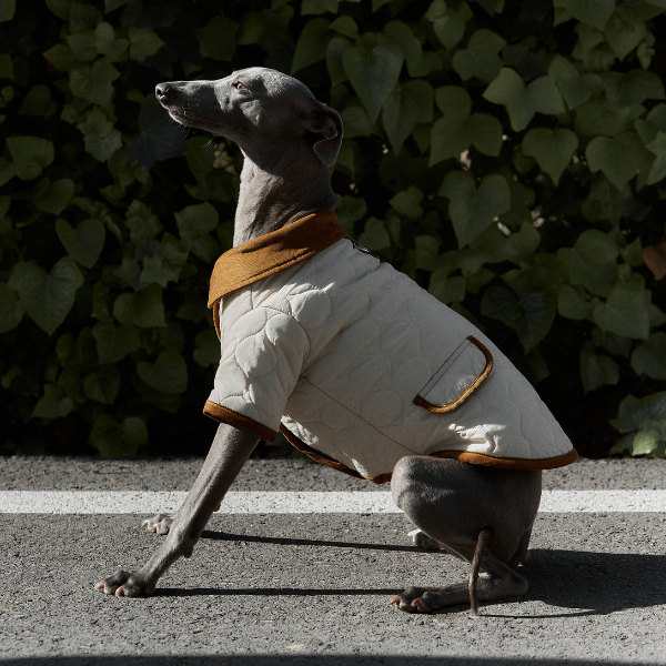 Spencer jacket beige Aristopet