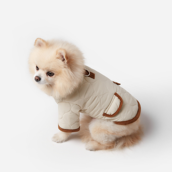 Spencer jacket beige Aristopet