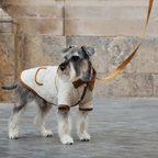 Spencer jacket beige Aristopet