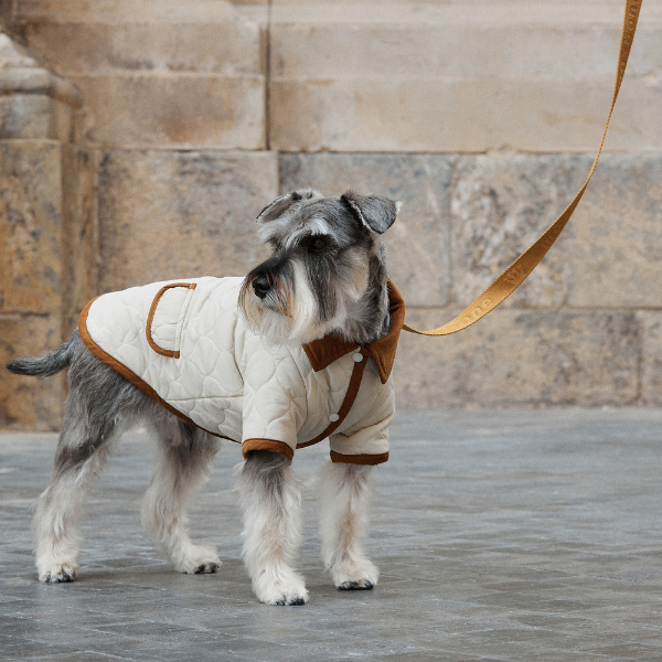 Spencer jacket beige Aristopet