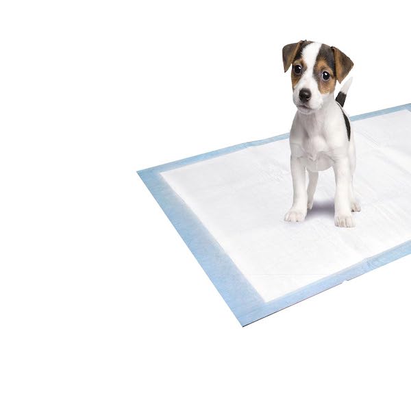 Pady White Educational Mat