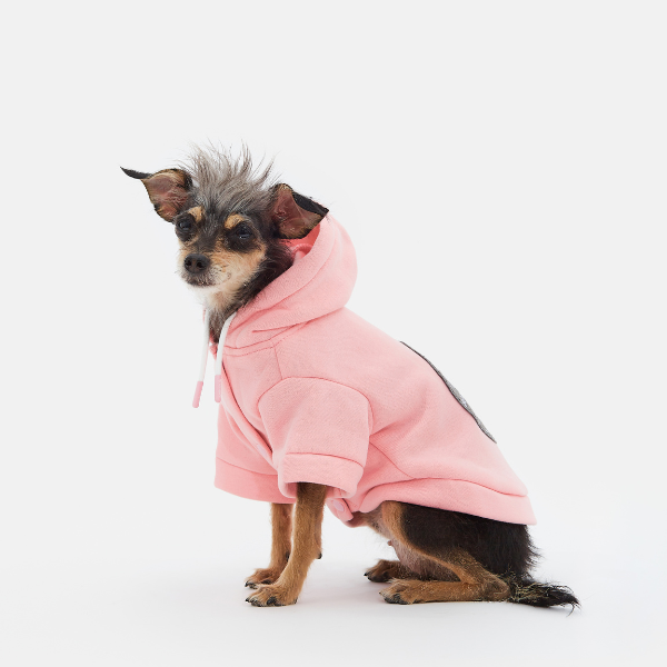 Augustus pink hoodie Aristopet