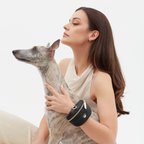Aristopet dog flap bag