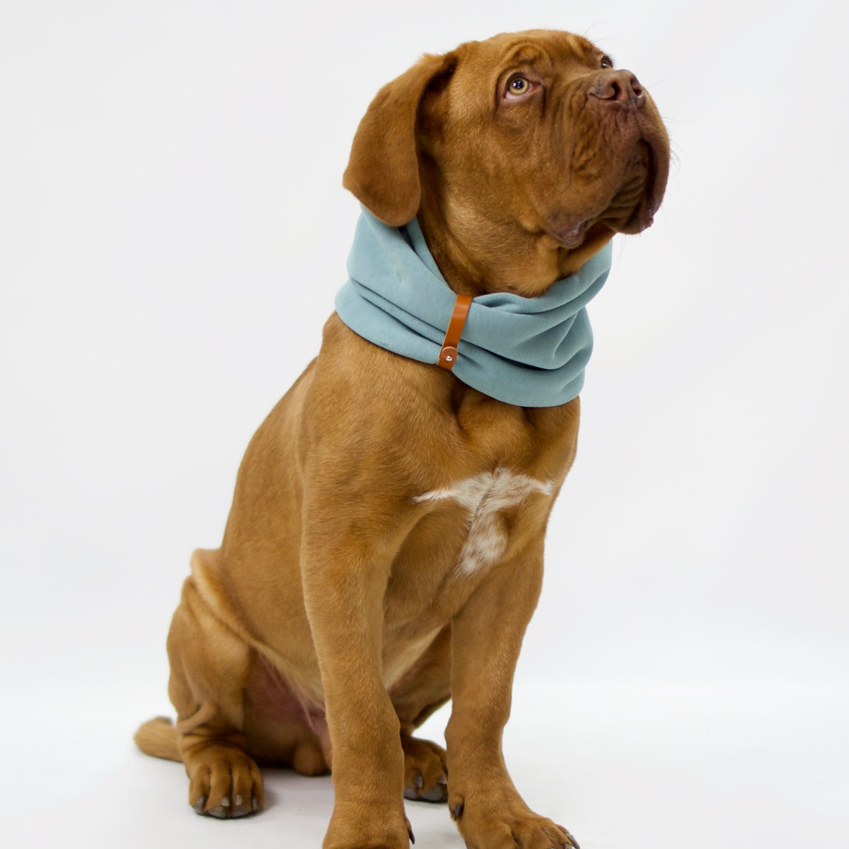 INKO Collar
