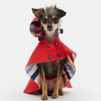 Capa Impermeable William THE PAINTER WIFE X ARISTOPET