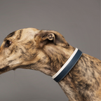 Le Collier Piolino Charcoal - Collar para Perros