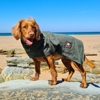 Albornoz para perros Verde Danish