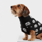 JERSEY DARKIE WOOF