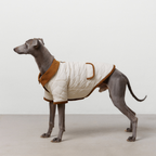 Spencer jacket beige Aristopet