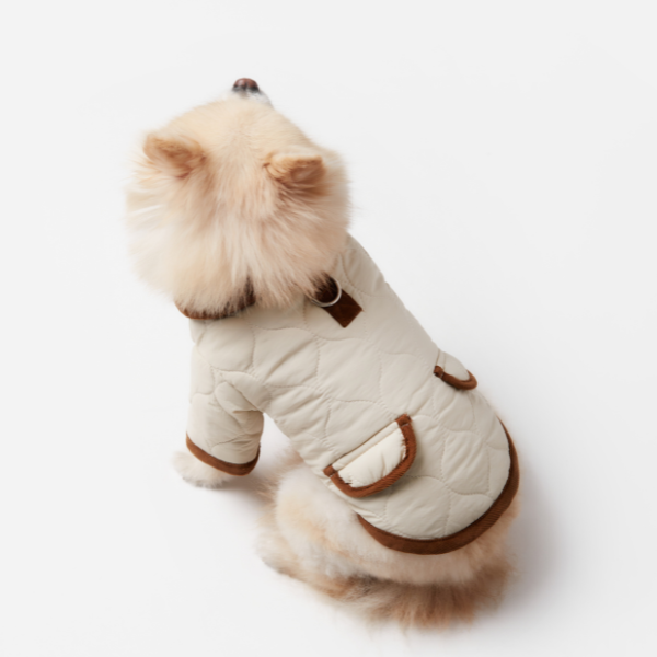 Spencer jacket beige Aristopet