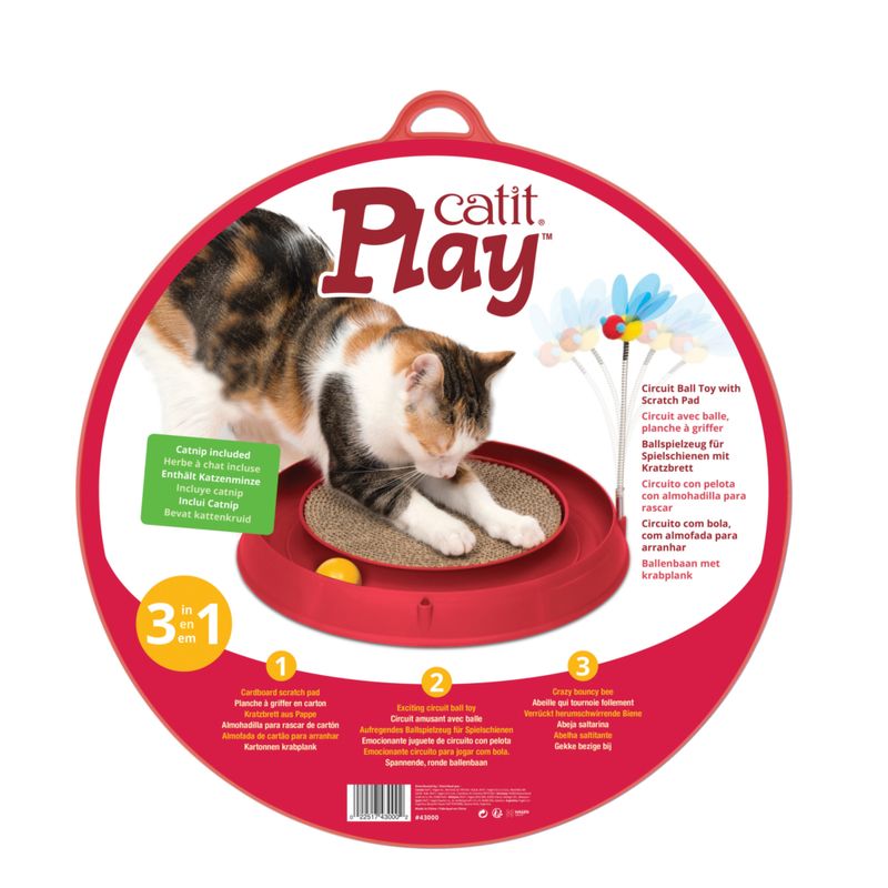 Circuit with ball and scratching base
