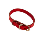 Collar Nu Nickele Bobby