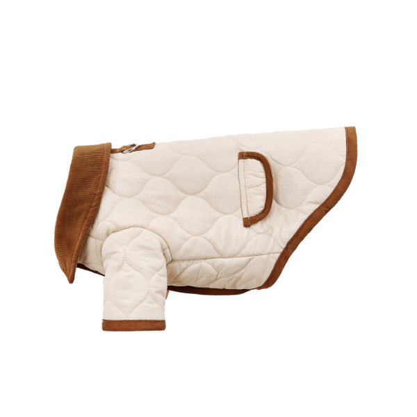 Spencer jacket beige Aristopet