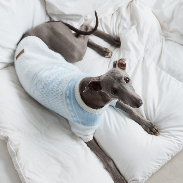 Aristopet light blue puppy sweater