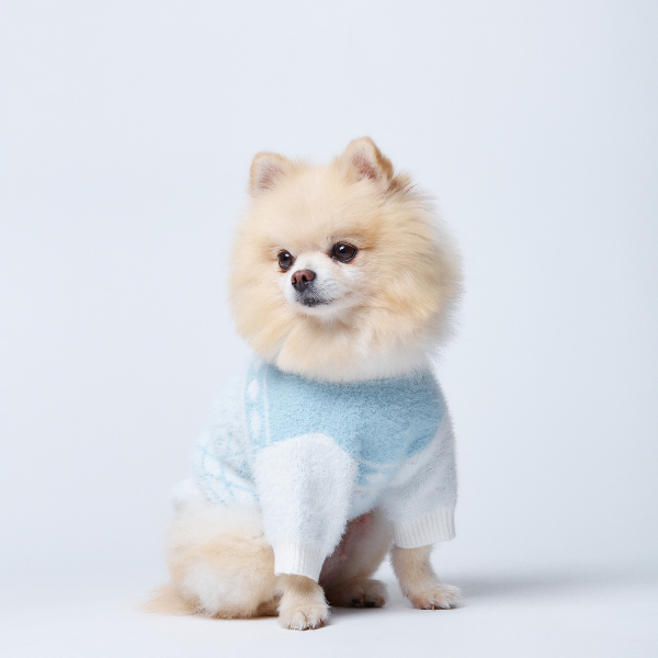 Aristopet light blue puppy sweater