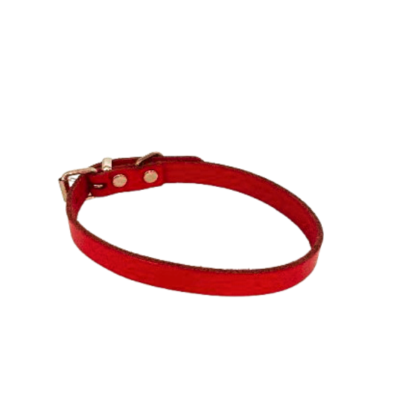 Collar Nu Nickele Bobby