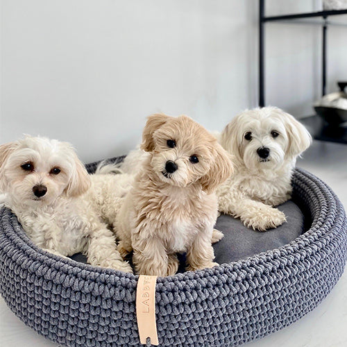 Cama para Perros LUKKO | ARISTOPET