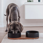 VUKU Double Ceramic Feeder