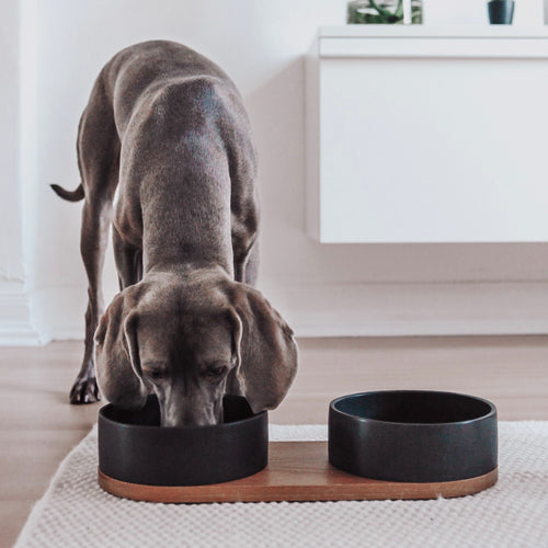 VUKU Double Ceramic Feeder