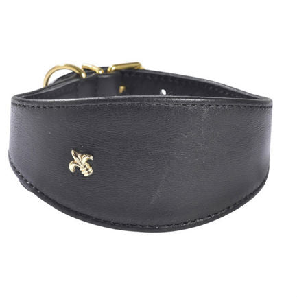 Collar Cuero para Galgos