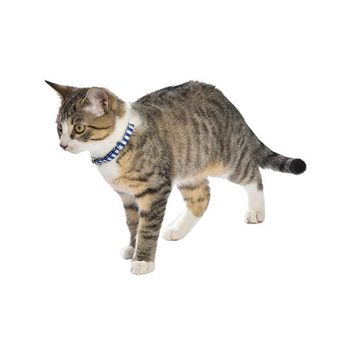 Collar para Gato Marina Bobby