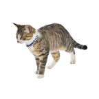 Collar para Gato Marina Bobby