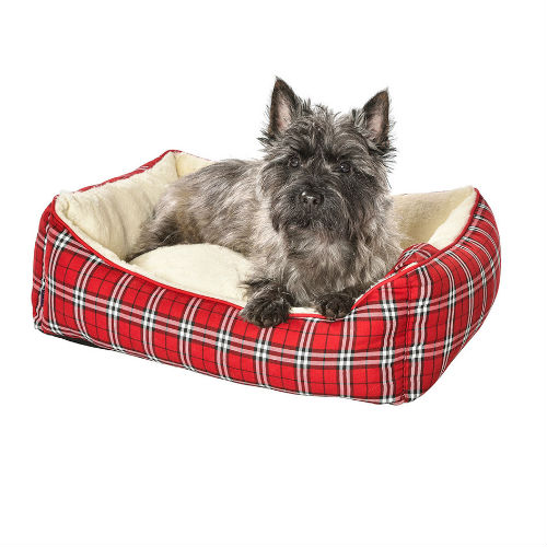 Cama Tartan