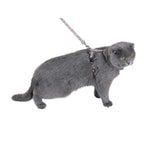 Kit Arnés + correa para gatos Kilt