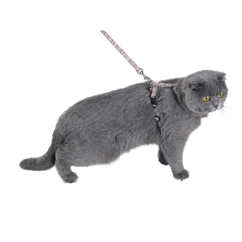Kit Arnés + correa para gatos Kilt