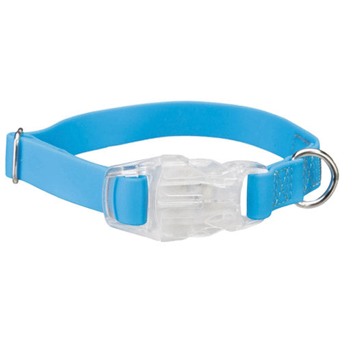 Collar para Perro Easy Flash USB
