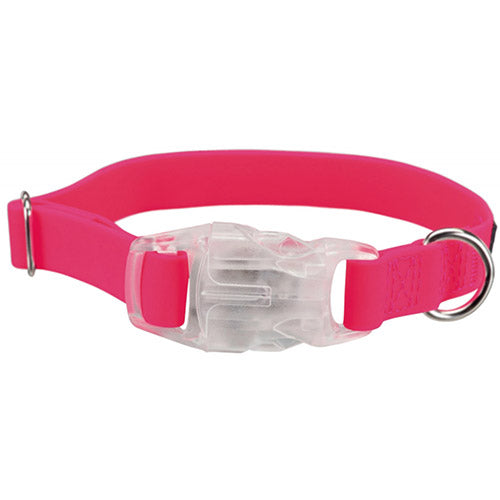 Collar para Perro Easy Flash USB