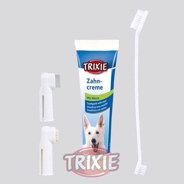 Set per l'igiene dentale