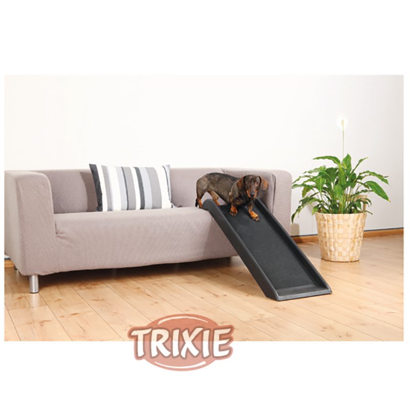 Rampa para perros