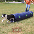 Túnel Agility, Nylon para perros