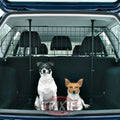 Barra protectora Coches